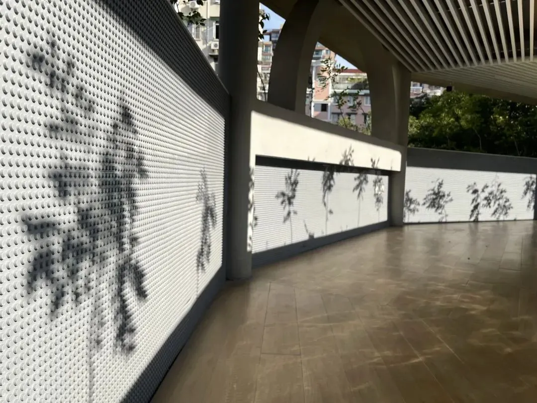 15分钟篮球基本功训练计划_0